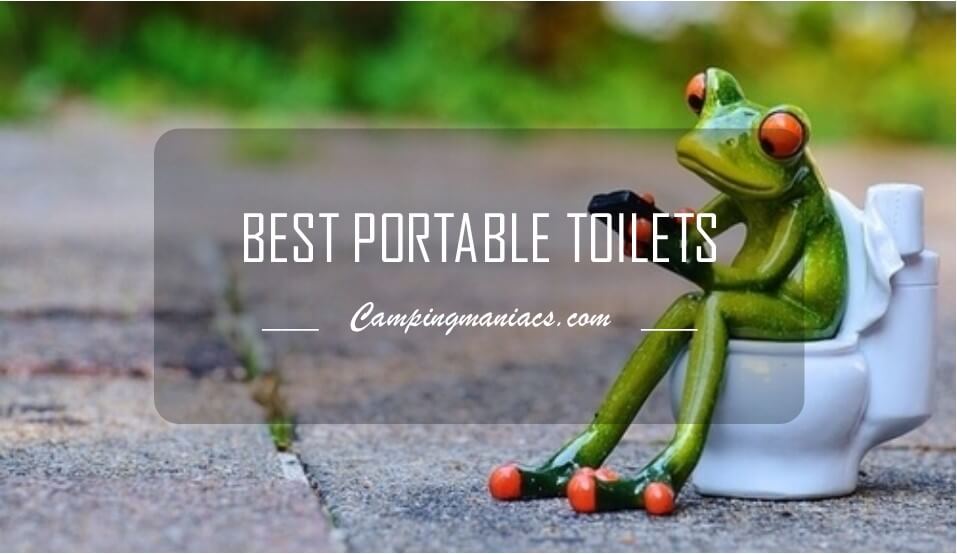 image of cute animated frog sitting on toilet with title Best Portable Toilets