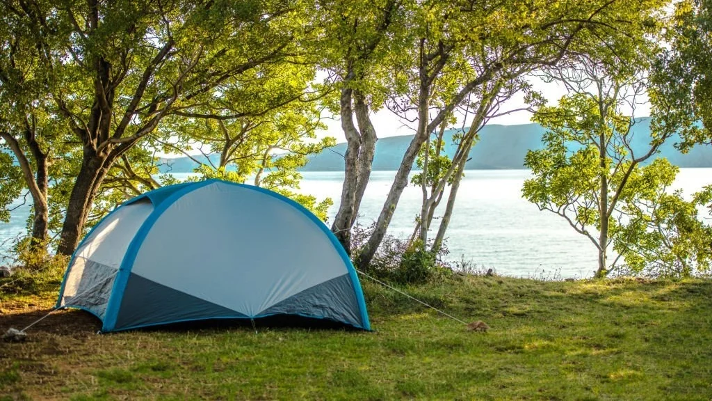 tent set up under a tree to stay cool