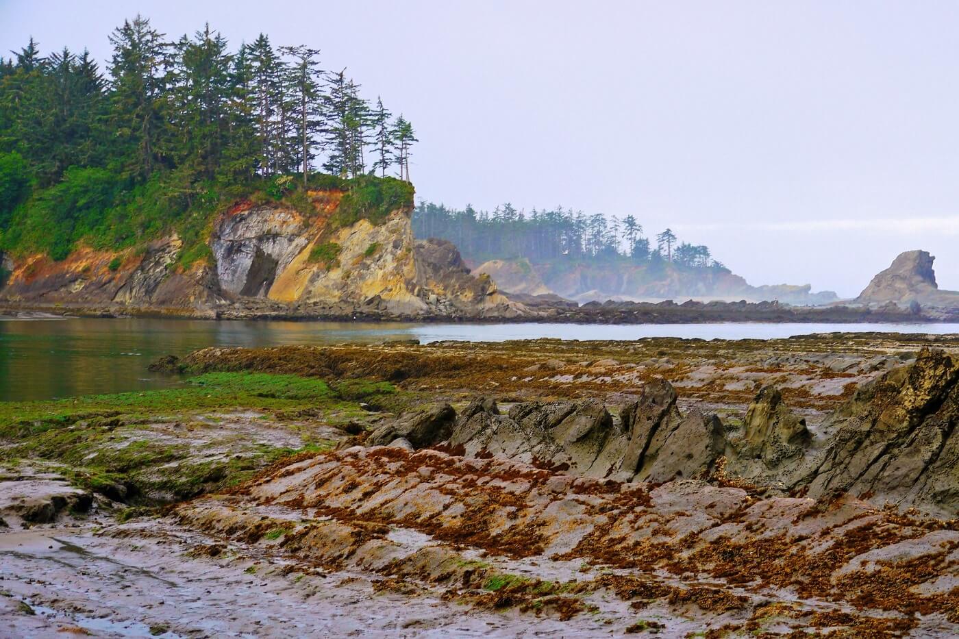 Sunset Bay State Park Coos County Oregon