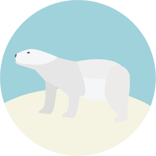 bear icon