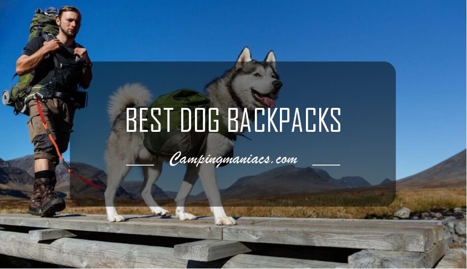 best dog backpacks for hiking