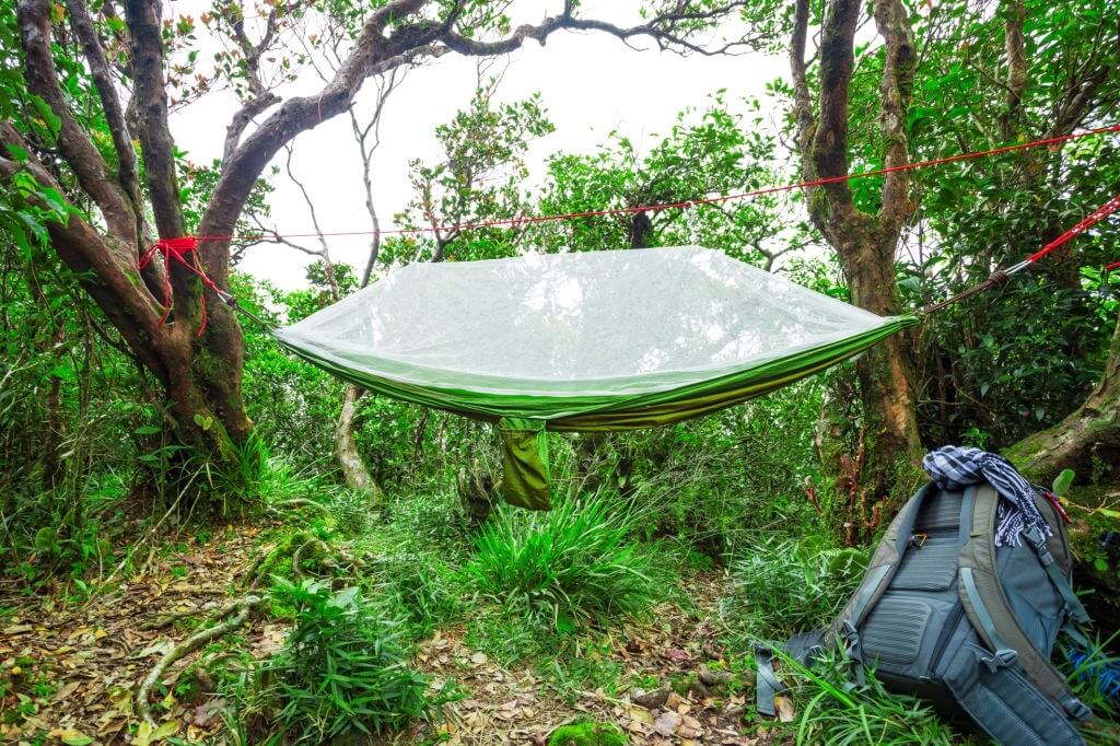 bug net atop of a hammock