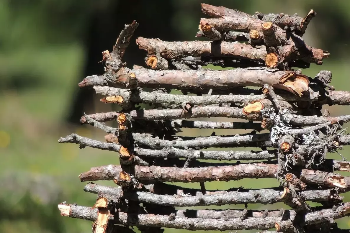 campfire wood pile up