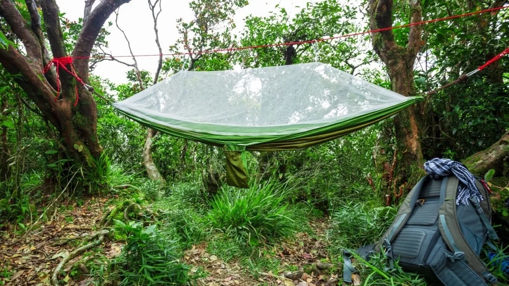 camping hammock as a tent alternative in summer