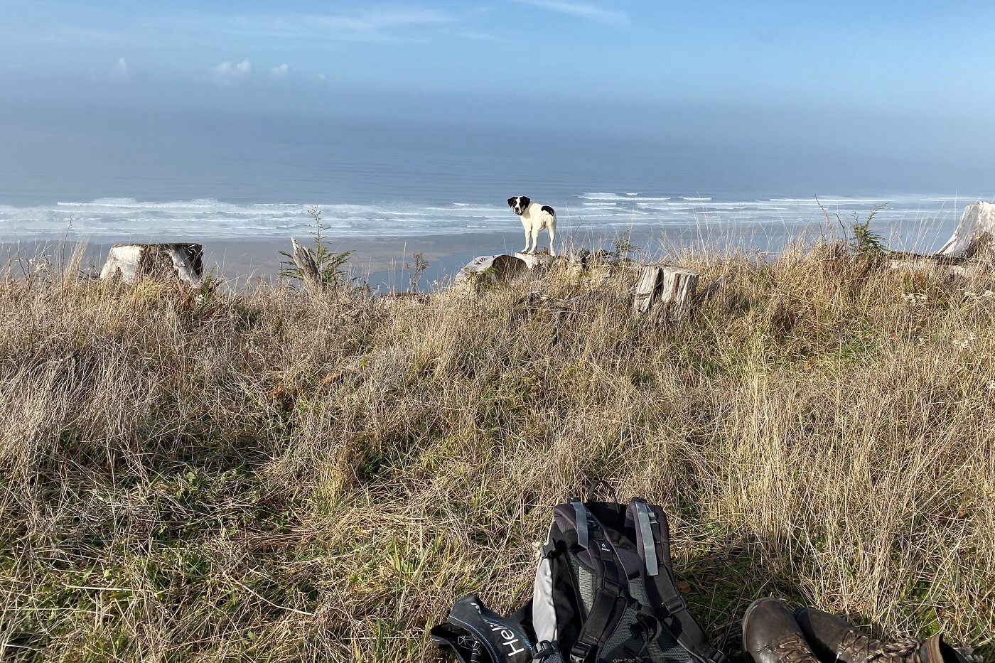 campsite at Cape Lookout, Oregon