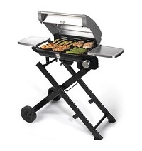 Cuisinart CGG-240 All Foods Roll-Away Gas Grill, Stainless Steel