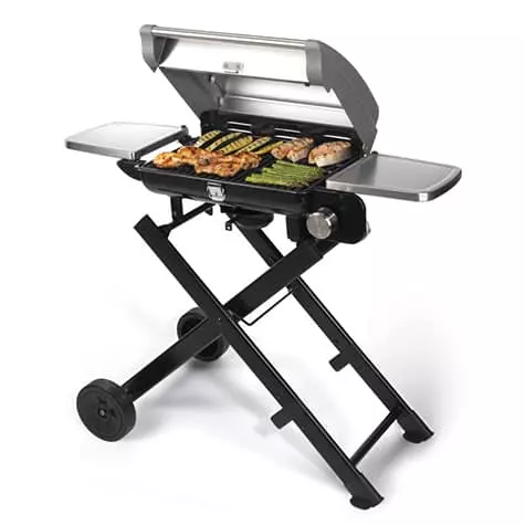 Cuisinart all-foods roll-away gas grill for camping
