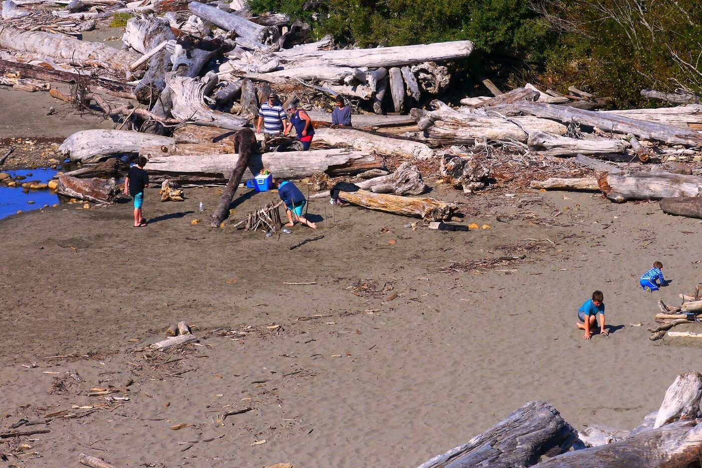 a family camping at Harris Beach State Park, Oregon