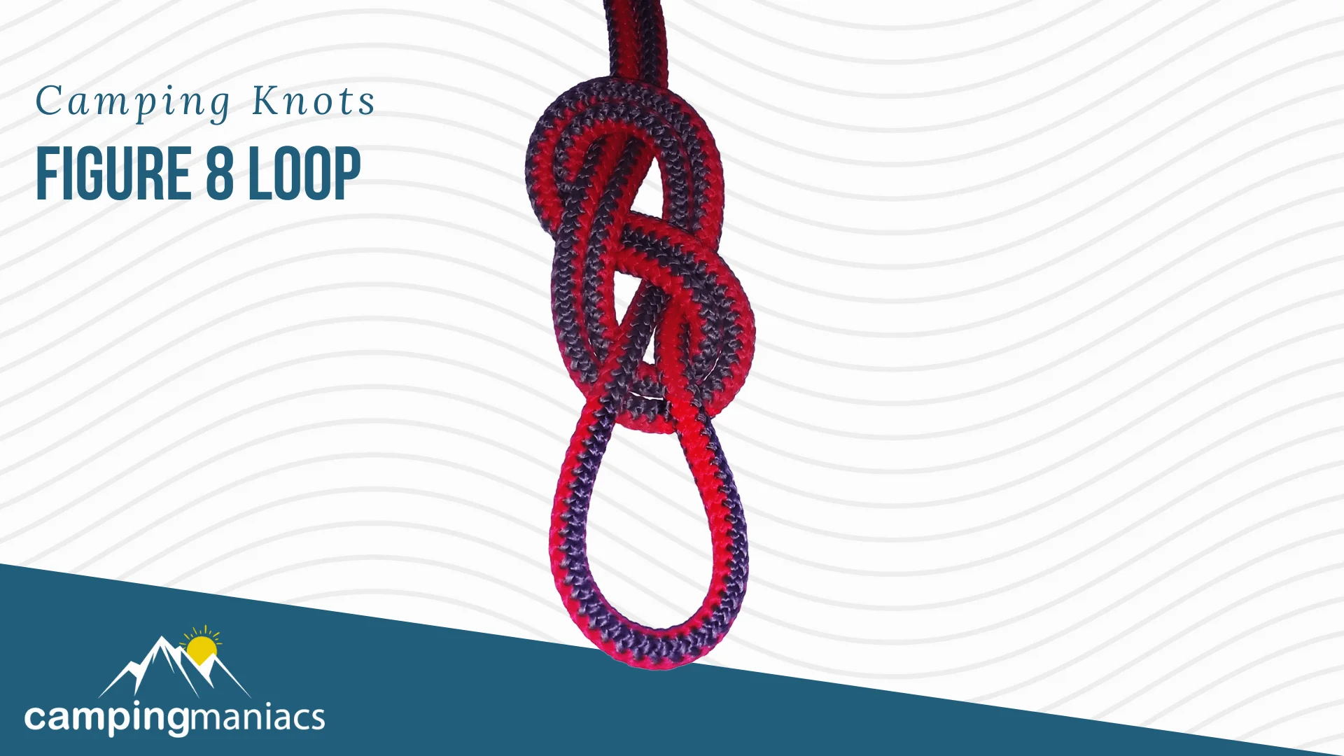 figure eight loop knot