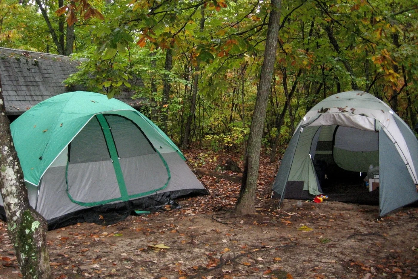 green-grey tents in forest