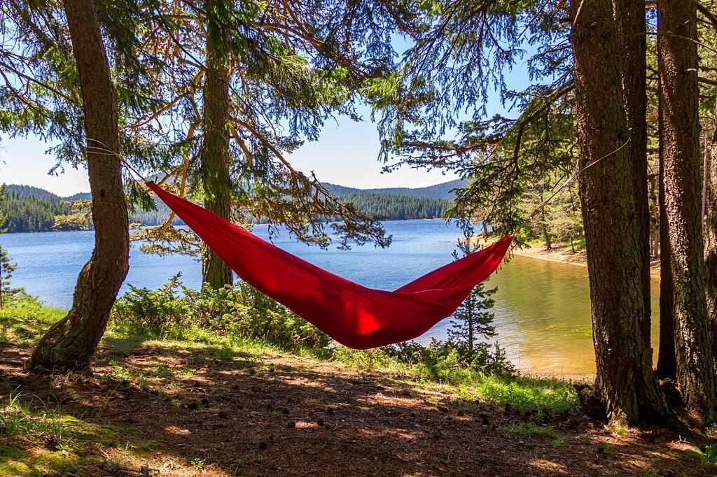 hammock hanging between two trees