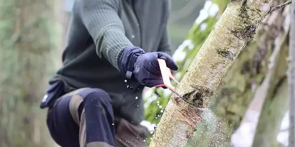 image of man using a manual pocket chainsaw cutting tree branch