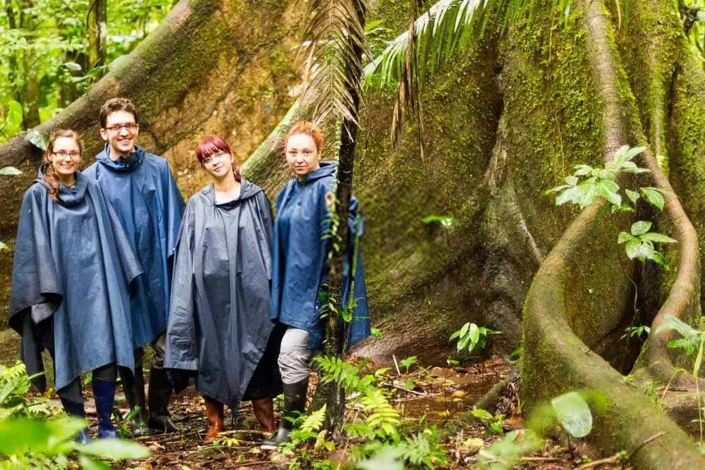 hikers in different types of rain ponchos