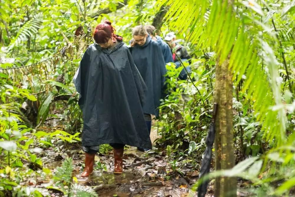 hiking rain ponchos