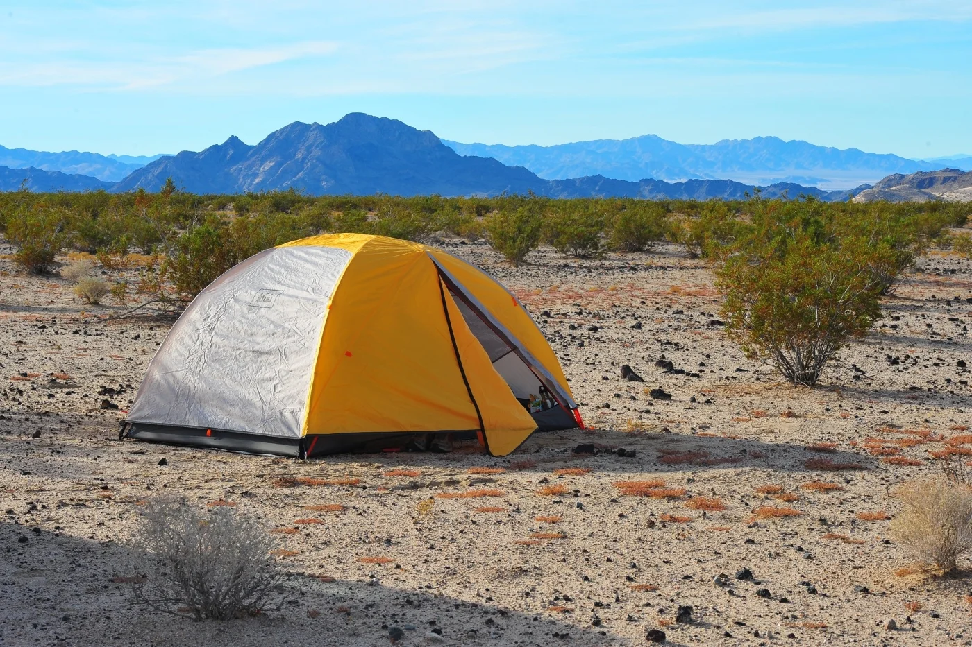 orange-grey Rei tent set up in the jungle