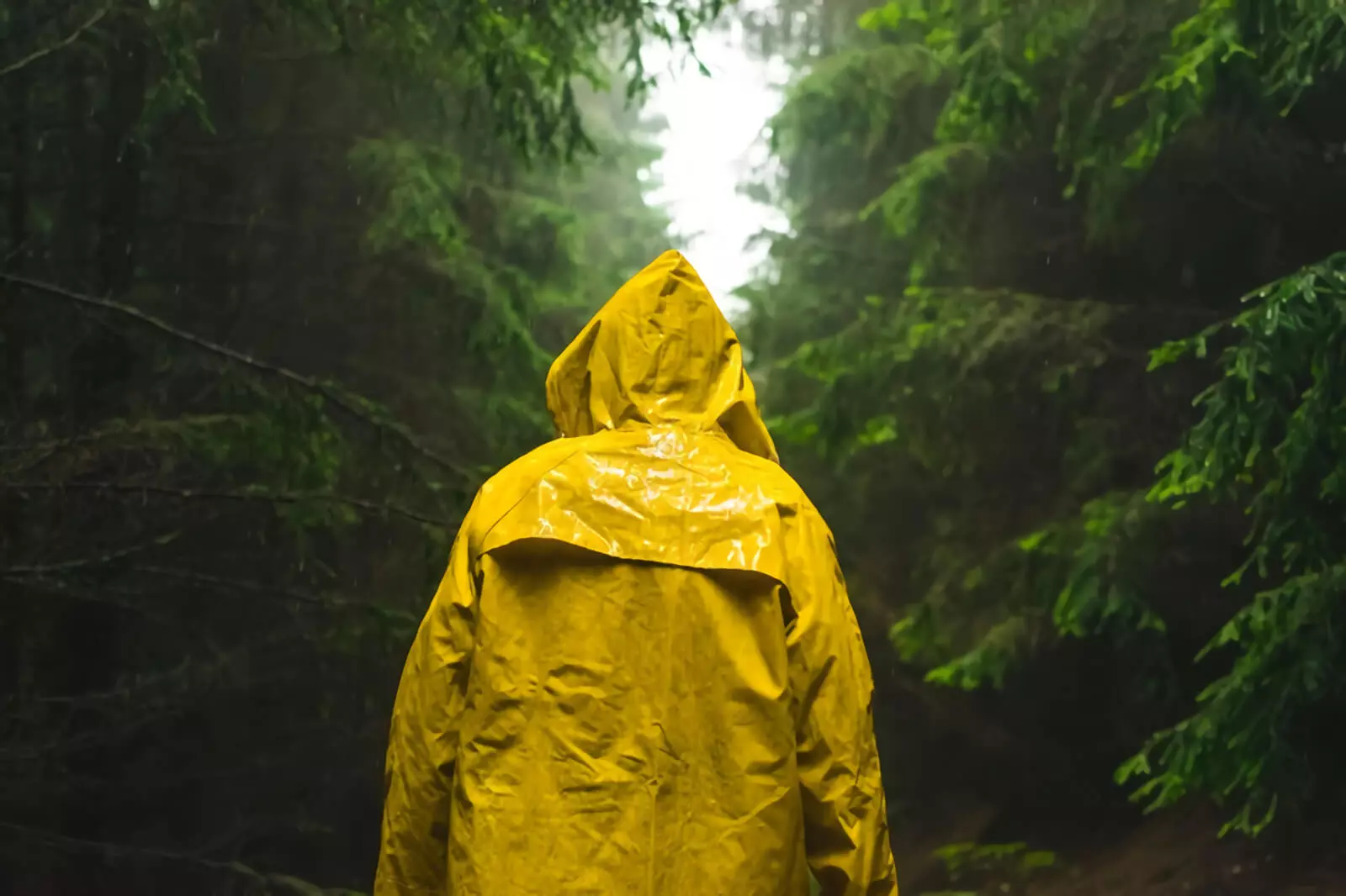 hard-shell raincoats can be used as outer layer for rain and wind protection