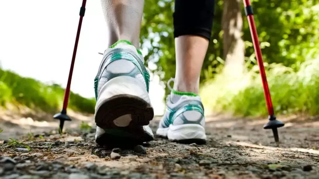 planting your trekking poles