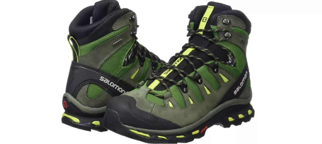 Salomon Men's Quest 4D 2 GTX