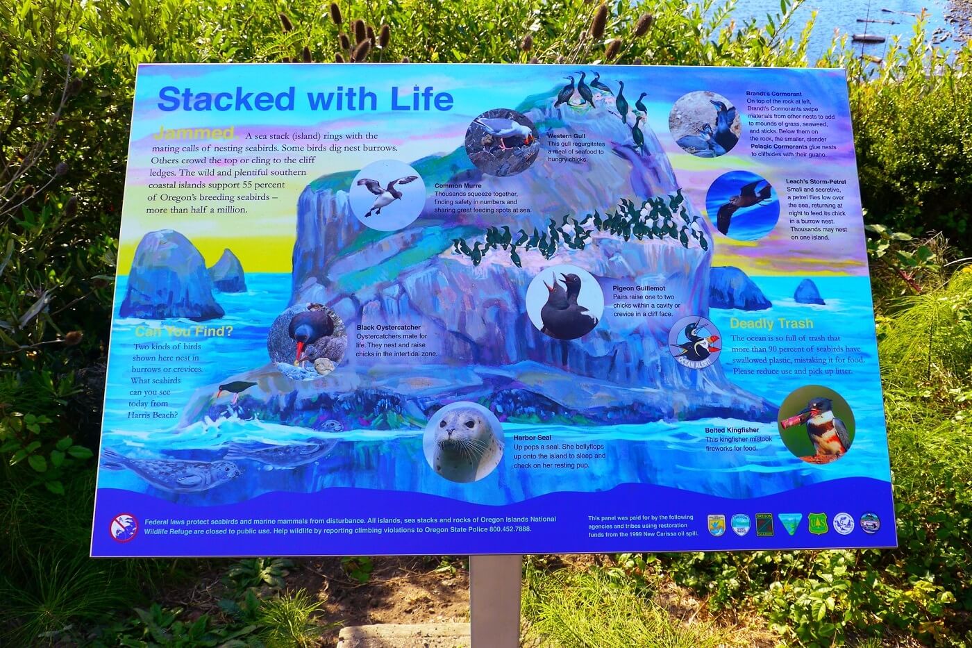 stacked with life interpretive sign at Harris Beach State Park