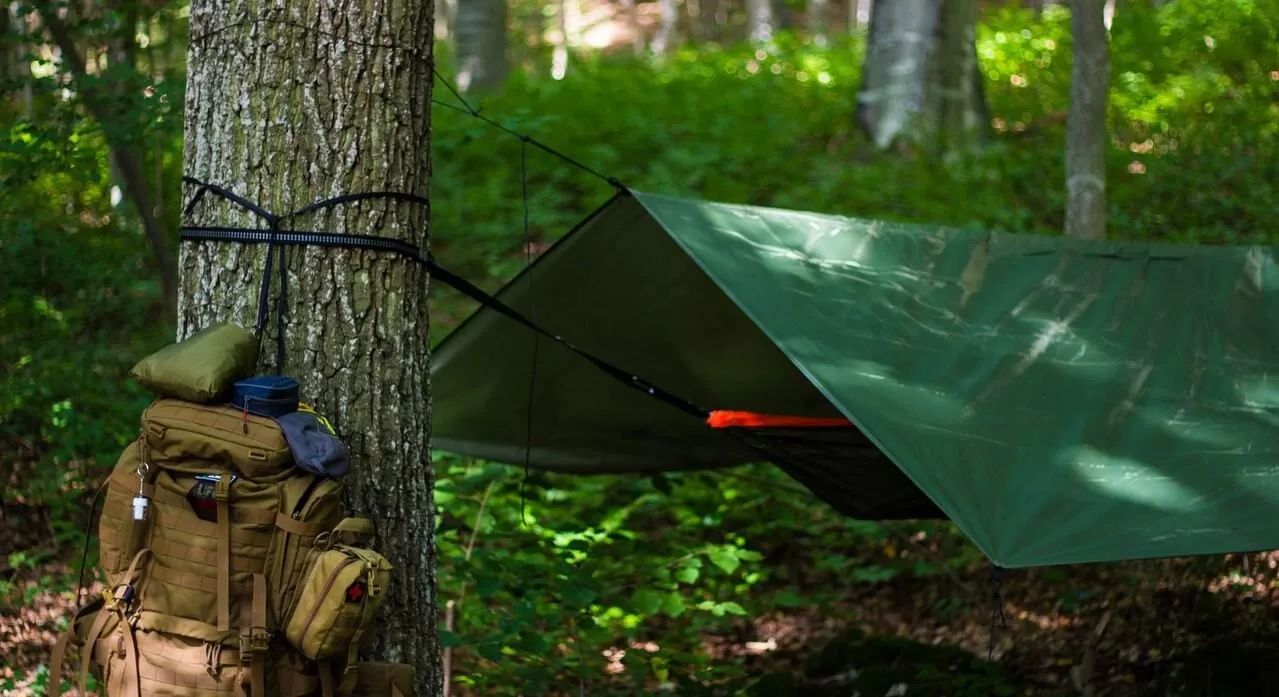 tarp set up over a camping hammock