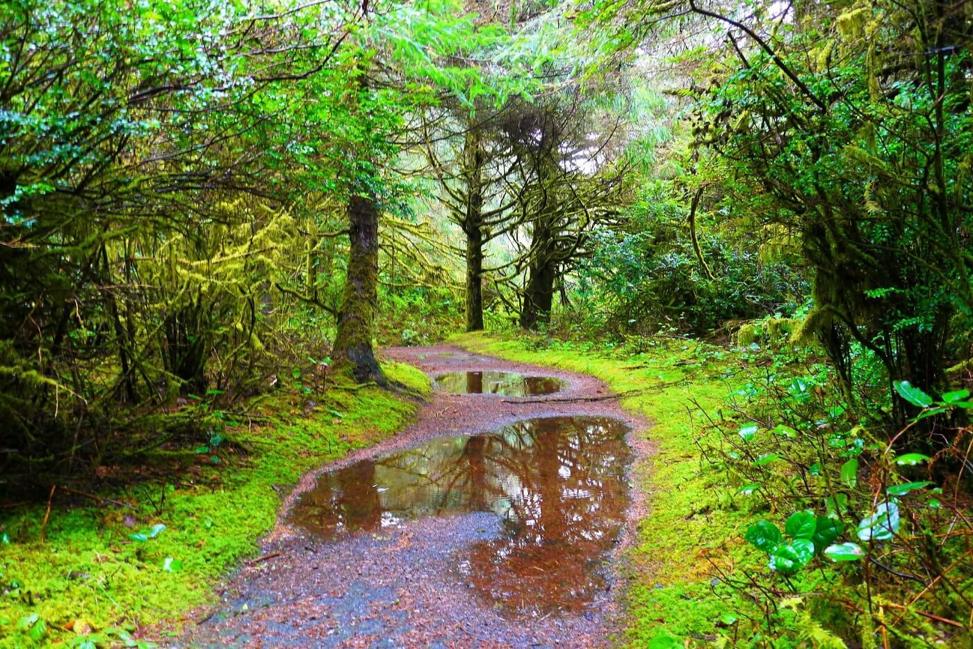 Walk path in Carl G. Washburne State Park