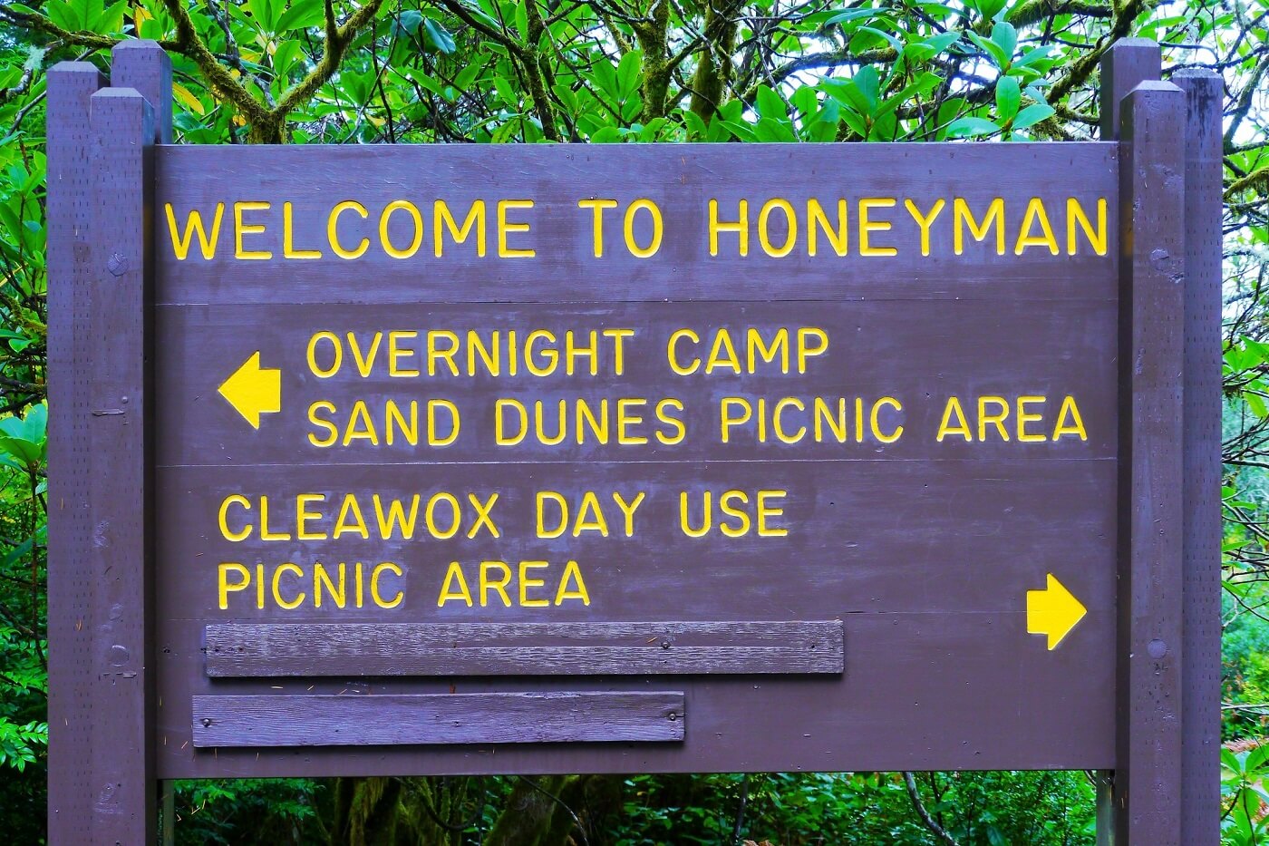 Welcome to Honeyman State Park sign